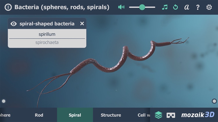 Bacteria 3D screenshot-3