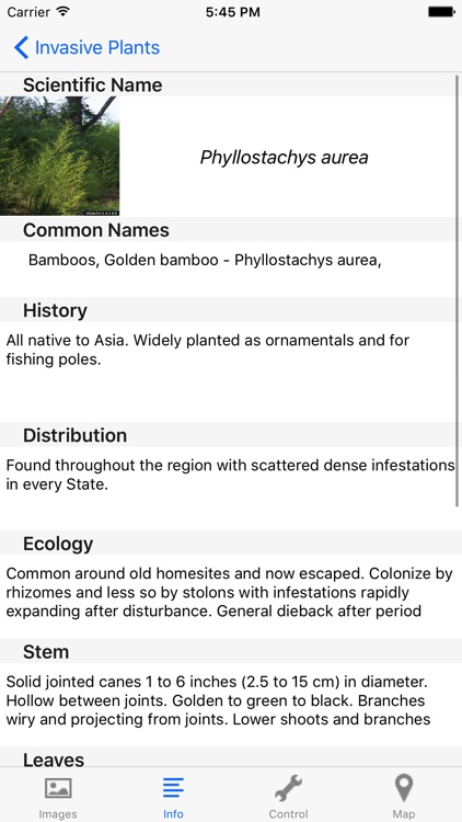 Invasives in Southern Forests screenshot-3