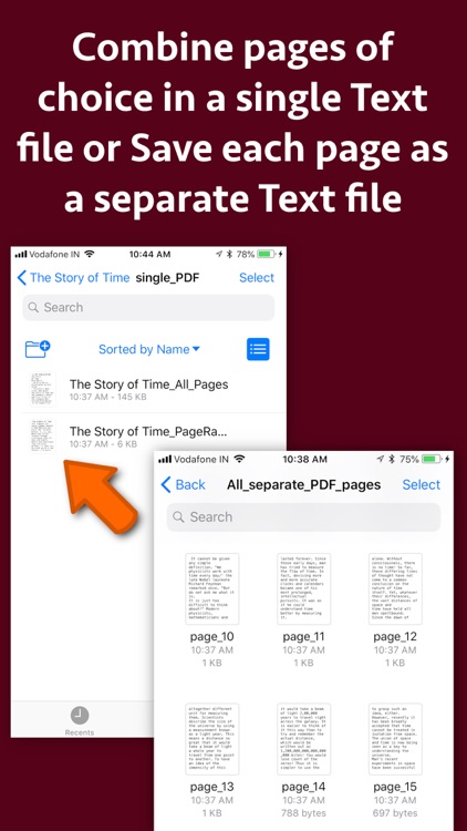 PDF to Text Maker