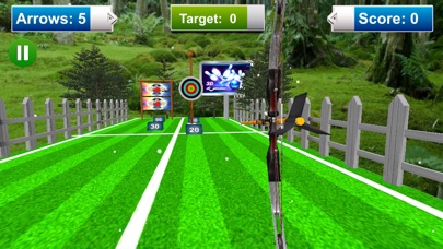 Archery Target Shooting screenshot 3
