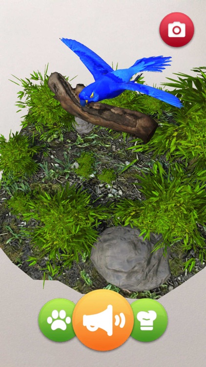 Colleziona La Natura