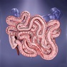 Get AbbVie IBD 3D for iOS, iPhone, iPad Aso Report