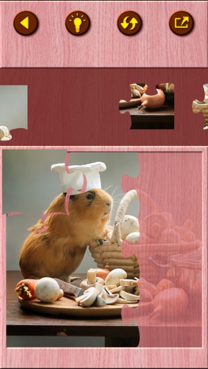 Guinea Pig Kids Jigsaw Puzzle(圖3)-速報App