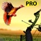 Welcome to the most actual Pheasant Bow Hunting Pro  IOS Apps store