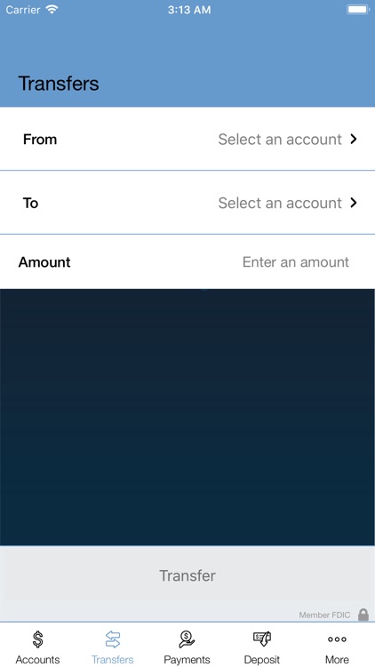 Texas State Bank Mobile Money screenshot-4