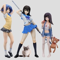 PIP camera in real-time