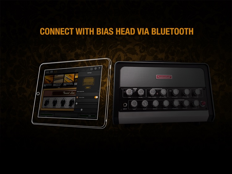BIAS Amp