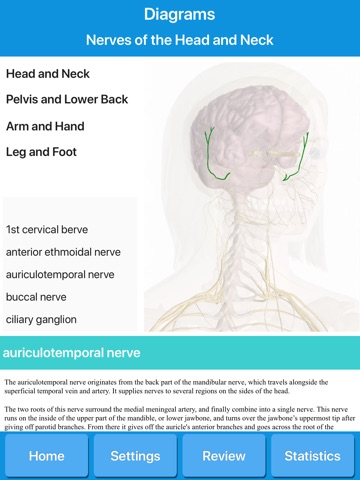 Human Nervous System Anatomy screenshot 3