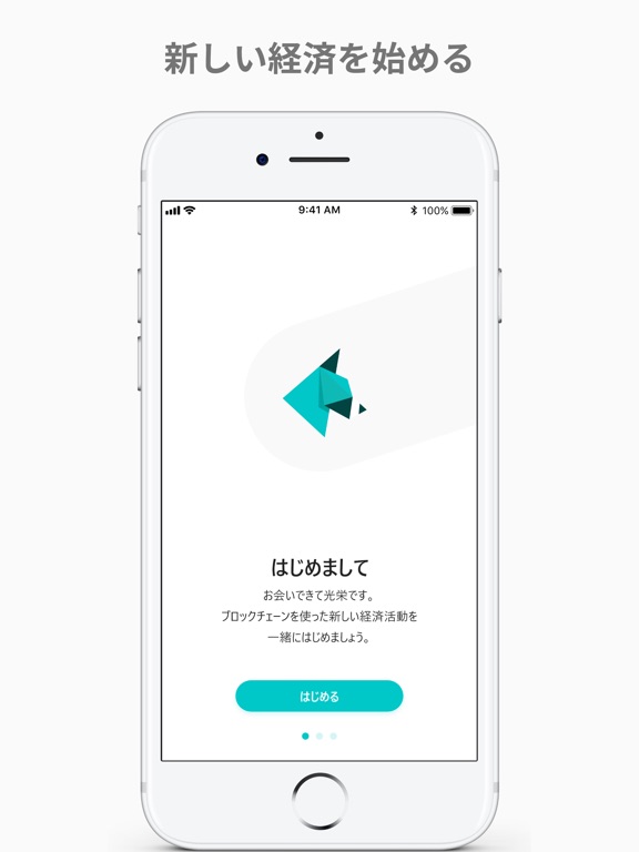 RaccoonWallet image #1
