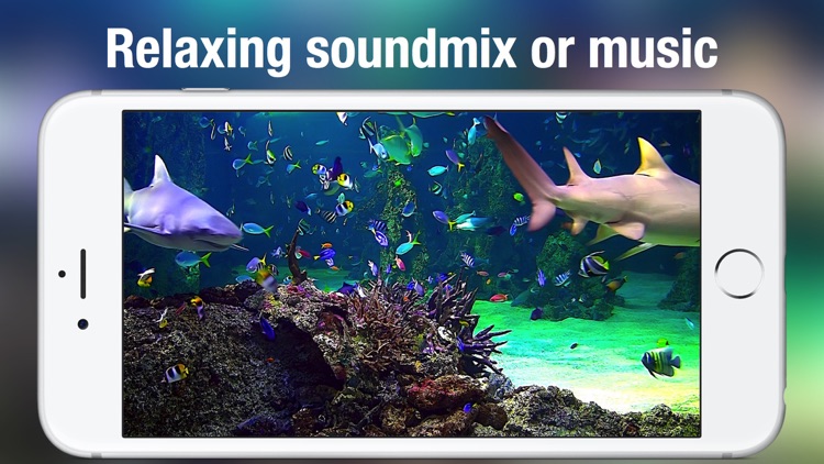 Aquarium Live HD + screenshot-4