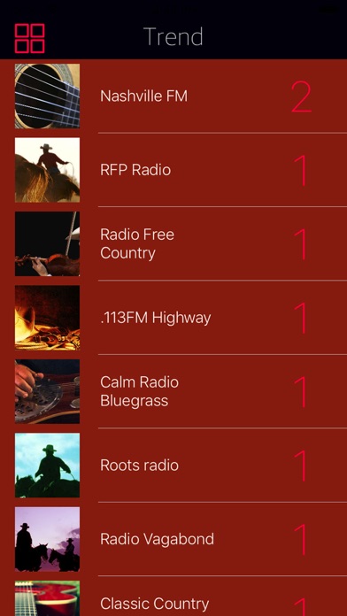 Country Music Radio Stream screenshot 4