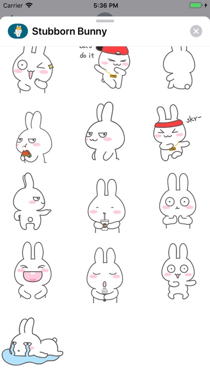 Stubborn Bunny Animated