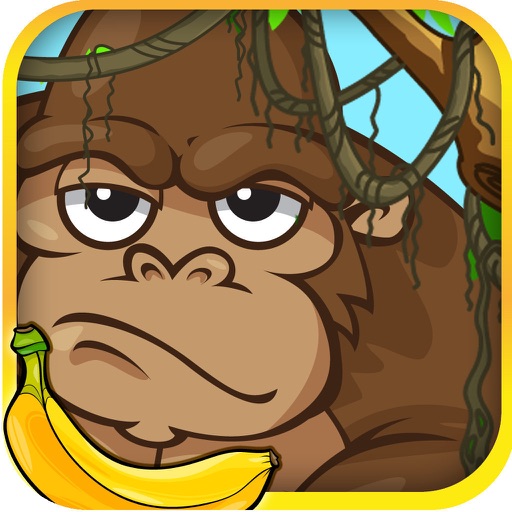 Wonder Island iOS App
