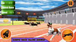 Game screenshot Dog Racer Simulation 2017 mod apk
