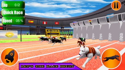 Dog Racer Simulation 2017 Screenshot 1