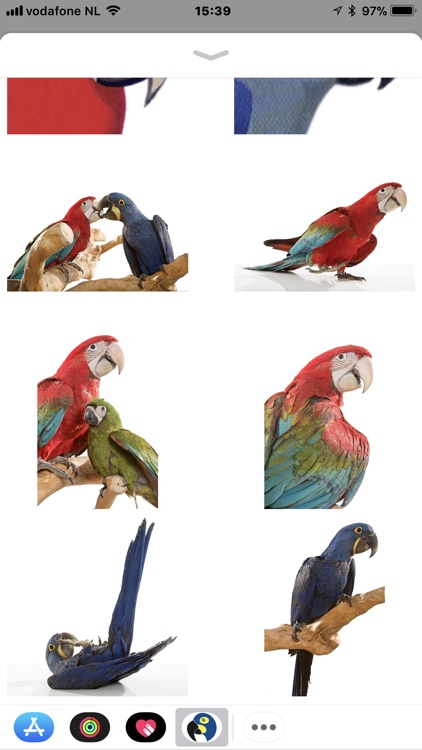 Macaw Stickerpack