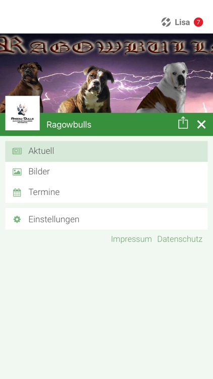 Ragowbulls