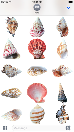 Shells!(圖3)-速報App