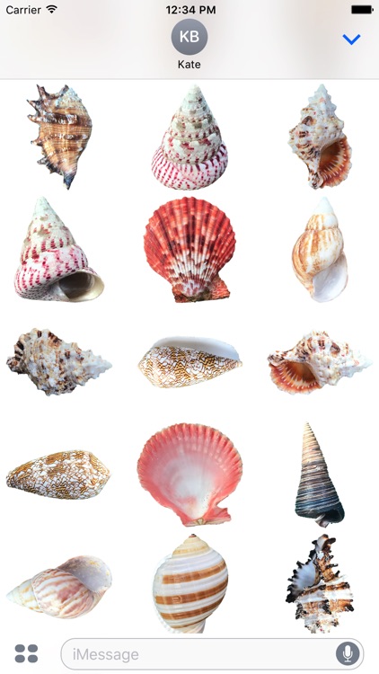 Shells!