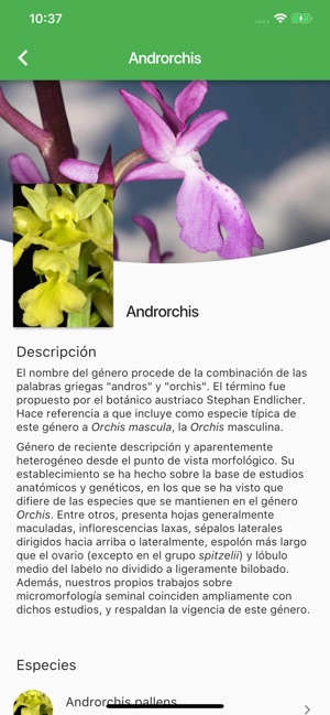 Orquídeas Ibéricas(圖5)-速報App