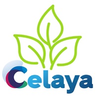 Paleta vegetal sur PC