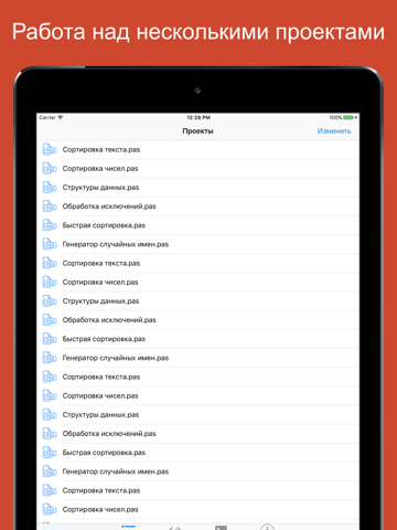 Pascal Programming Compiler screenshot 4