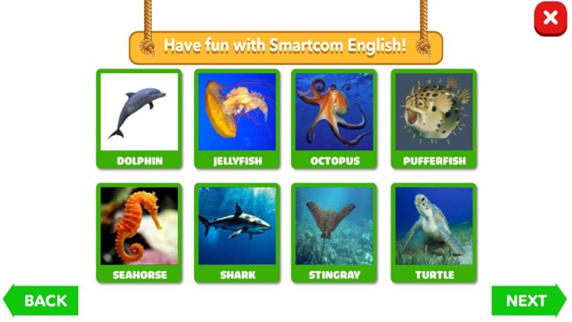 4D Aquatic Animals and Birds(圖1)-速報App