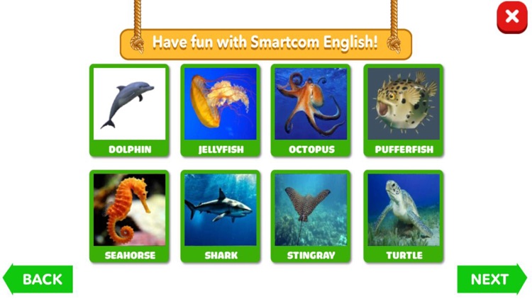 4D Aquatic Animals and Birds