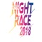 Icon Metfone Night Race