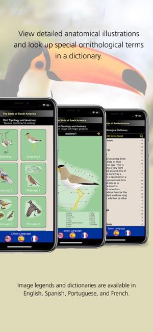 Birds of South America(圖3)-速報App