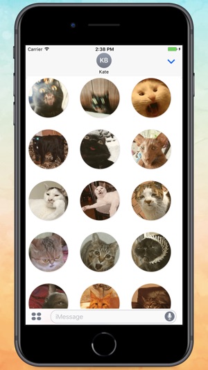 Stupid cats! Stickers(圖1)-速報App