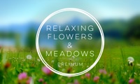 Relaxing Flowers & Meadows Premium - Relaxing Ambients