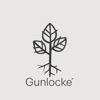 Gunlocke NSM 2017