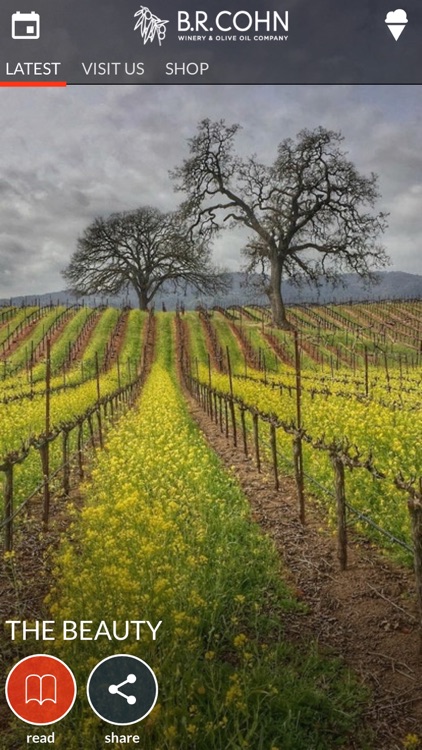 B.R.Cohn screenshot-4