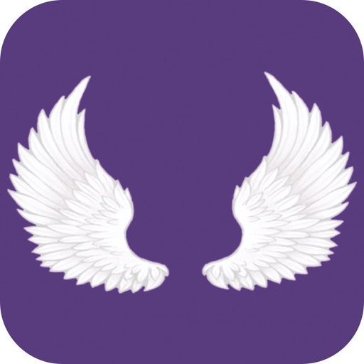 Healing Wings icon