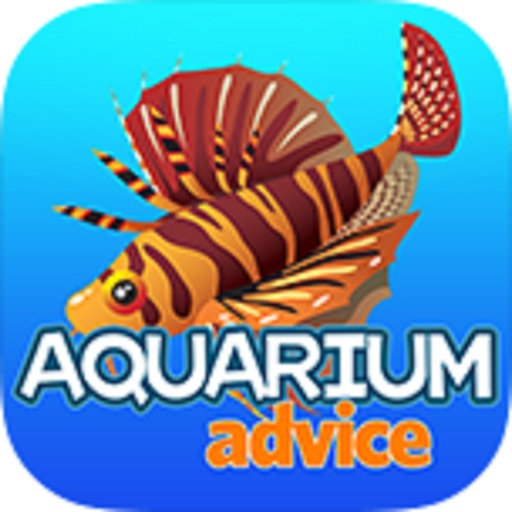 Aquarium Advice Forums