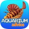 AquariumAdvice