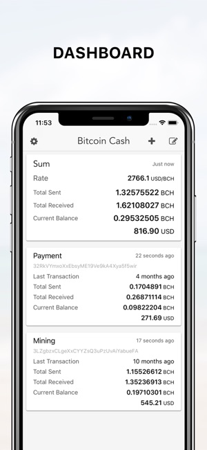 Bitcoin Cash address viewer