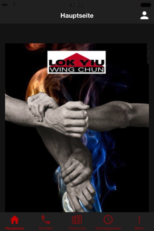 Lok Yiu Wing Chun screenshot 2