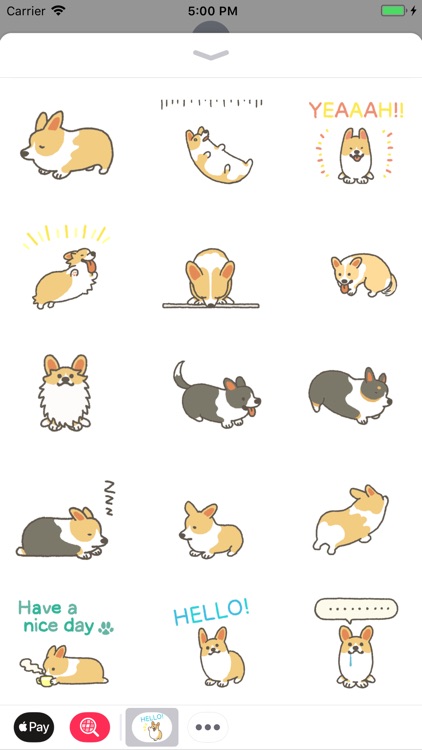 Akita Dog So Cool Stickers