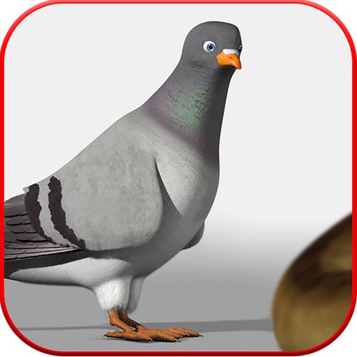 Spy Pigeon Mission icon