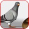 Army spy pigeon is an amazing game full of thrill and action