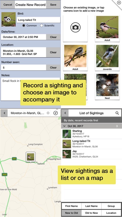 Birds of Britain Pro screenshot-6