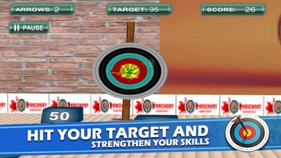Hit Bow Archer Target screenshot 3