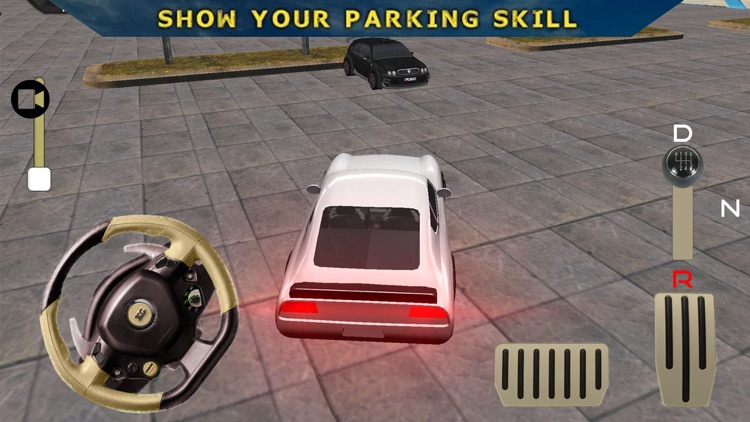 Parking Legend: Driving School