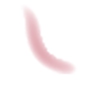 Attack of the Worms
