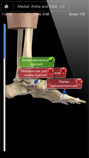 Ankle & Foot Pro III(圖3)-速報App