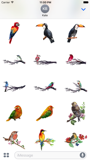 Watercolor Beautiful Birds Sticker Pack(圖2)-速報App