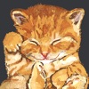 CatNap 1: Sleepy Cat Stickers