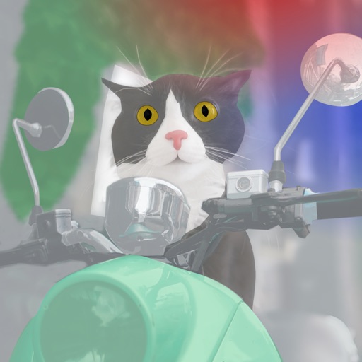 Cat Moped Icon